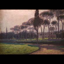 Pine Trees by Villa Borghese in Rome